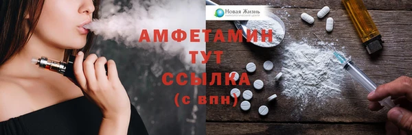 мет Алексин