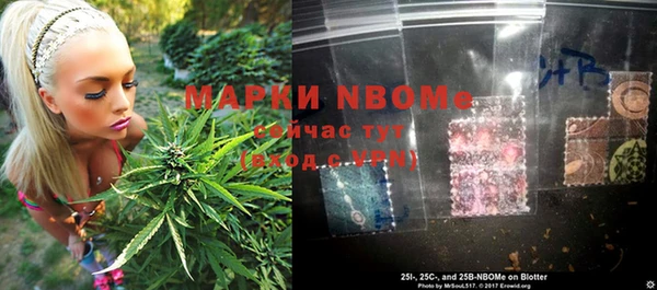 мет Алексин